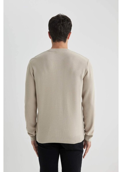 Standart Fit Normal Kesim Bisiklet Yaka Muline Desenli Triko Kazak A5181AX24SP