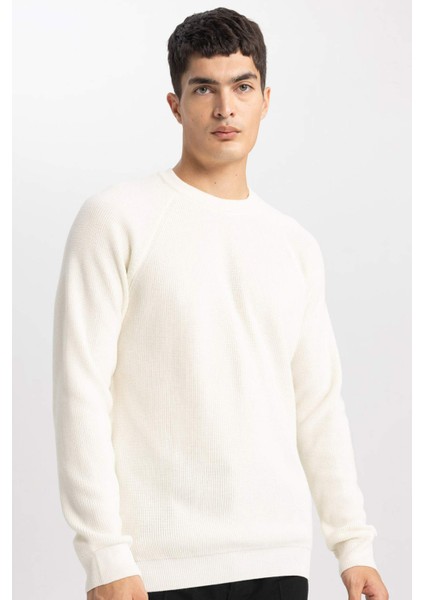 Standart Fit Normal Kesim Bisiklet Yaka Basic Düz Triko Kazak A8458AX24SP