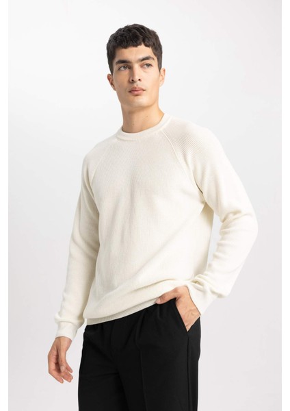 Standart Fit Normal Kesim Bisiklet Yaka Basic Düz Triko Kazak A8458AX24SP