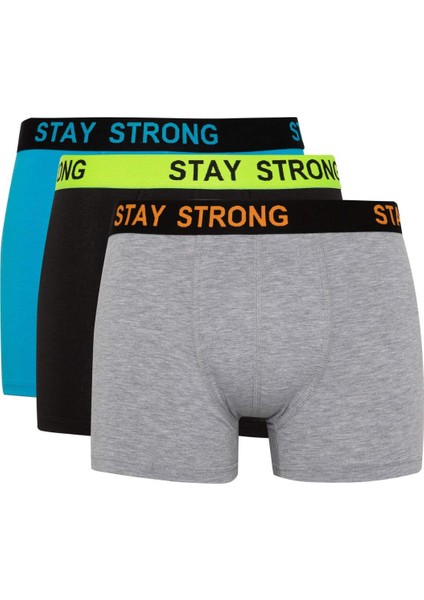 Regular Fit 3'lü Boxer B7887AX24SM