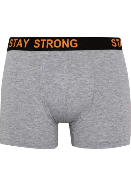 Regular Fit 3'lü Boxer B7887AX24SM