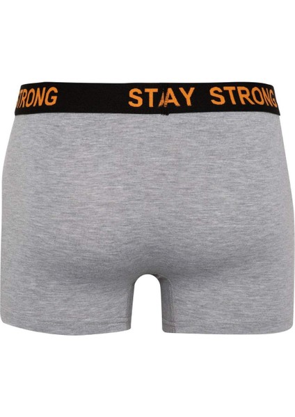 Regular Fit 3'lü Boxer B7887AX24SM