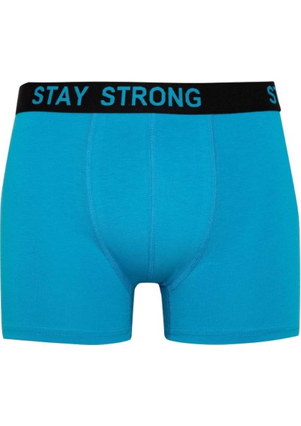 Regular Fit 3'lü Boxer B7887AX24SM