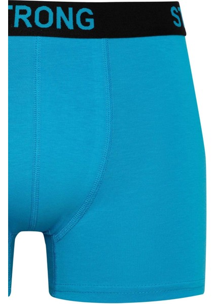 Regular Fit 3'lü Boxer B7887AX24SM