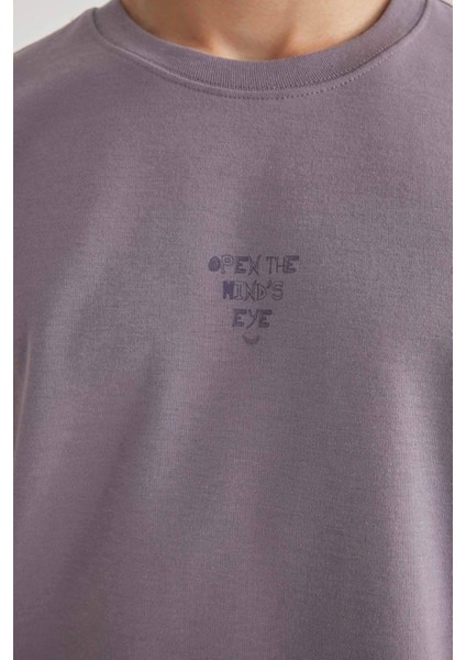 Loose Fit Bisiklet Yaka Baskılı Kısa Kollu Ağır Kumaş Tişört B9675AX23WN