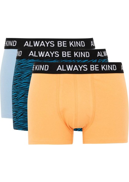 Regular Fit 3'lü Boxer B7912AX24SM