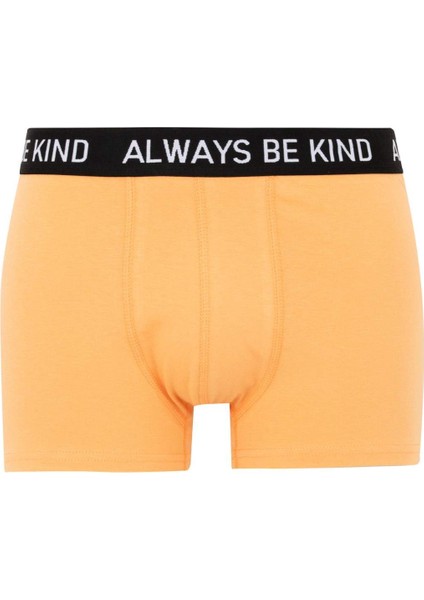 Regular Fit 3'lü Boxer B7912AX24SM