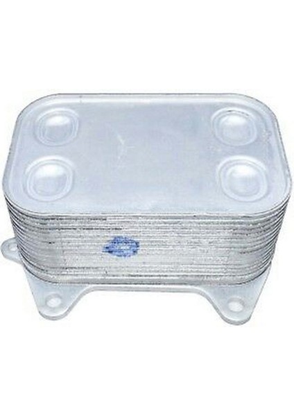 Zengezur Yağ Soğutucusu Golf6-Caddy-Crafter-T6-A3-Leon 1.6-2.0 Tdi 2010 Caab-Caya/b/c-Ckub-Caac