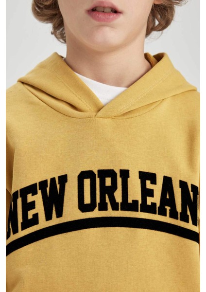 Erkek Çocuk Baskılı Kapüşonlu Kalın Sweatshirt B9000A823CW