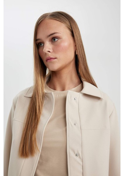 Polo Yaka Düz Çıtçıtlı Mevsimlik Bomber Mont Ceket B8601AX24SP