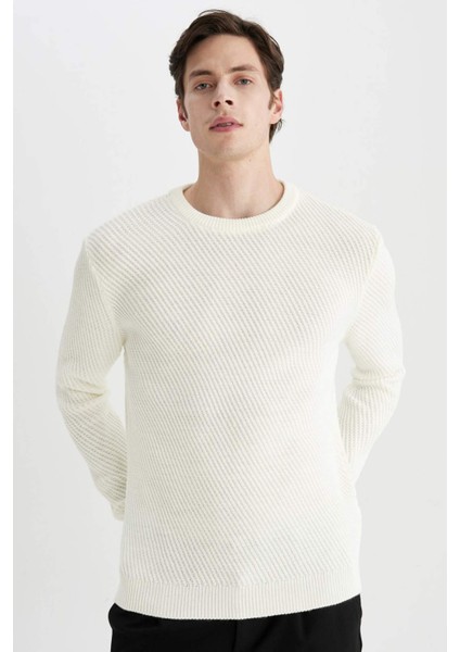 Standart Fit Normal Kesim Bisiklet Yaka Triko Kazak C0048AX24AU