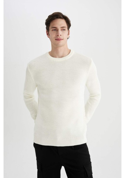 Standart Fit Normal Kesim Bisiklet Yaka Triko Kazak C0048AX24AU