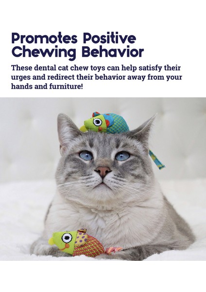 Catnip Chew Mice 2'li Kedi Oyuncağı Kedi Otlu