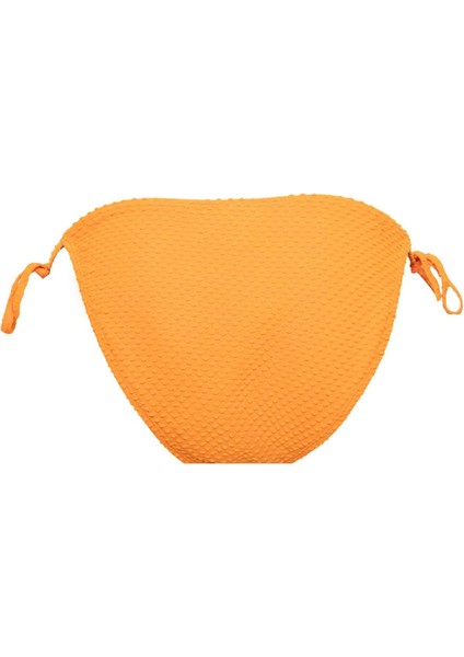 Regular Fit Bikini Altı-Fall in Love B6897AX24SM