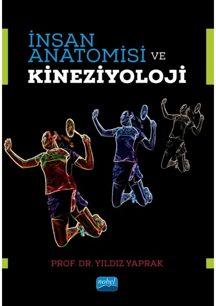 Insan Anatomisi ve Kineziyoloji