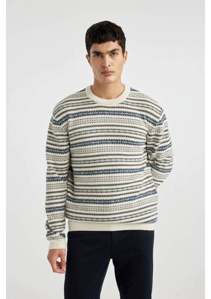 Standart Fit Normal Kesim Bisiklet Yaka Desenli Triko Kazak B9716AX24AU