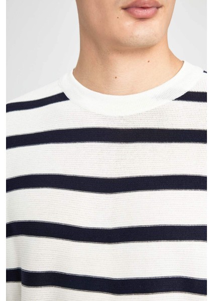 Standart Fit Normal Kesim Bisiklet Yaka Triko Çizgili Kazak B9724AX24AU