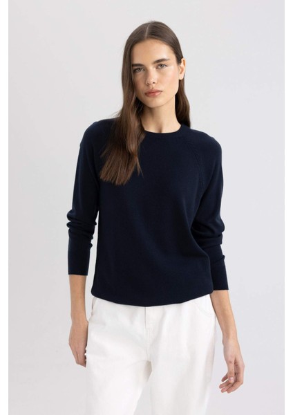 Regular Fit Yumuşak Dokulu Bisiklet Yaka Basic Düz Triko Kazak I6913AZ24WN