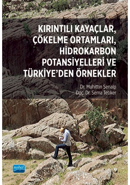 Kırıntılı Kayaçlar, Çökelme Ortamları, Hidrokarbon Potansiyelleri ve Türkiye’den Örnekler