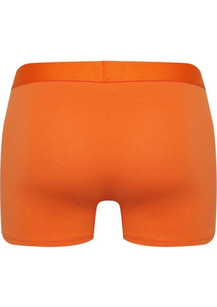 Regular Fit 3'lü Boxer B7953AX24SP