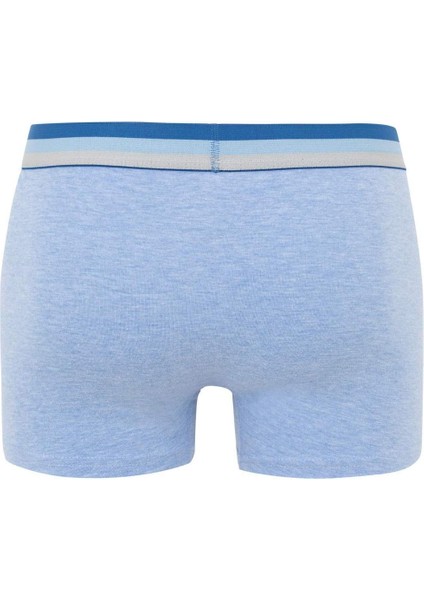 Regular Fit 3'lü Boxer B7952AX24SP