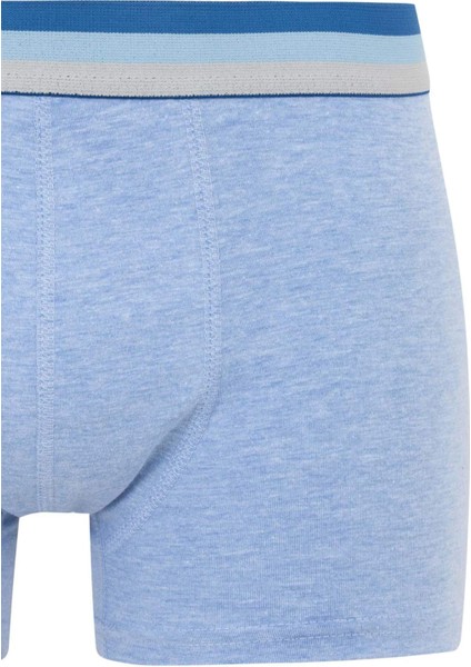 Regular Fit 3'lü Boxer B7952AX24SP