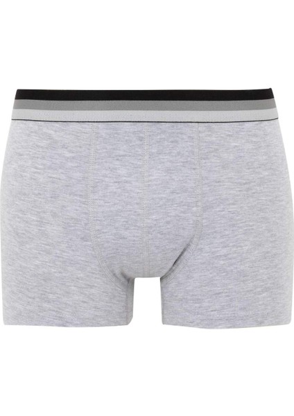 Regular Fit 3'lü Boxer B7952AX24SP