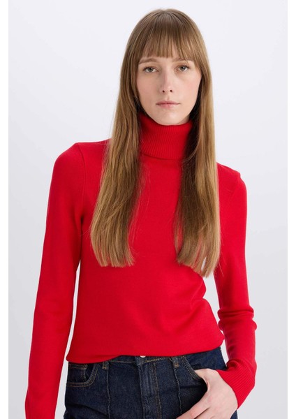 Regular Fit Yumuşak Dokulu Balıkçı Yaka Basic Düz Triko Kazak H1651AZ24WN