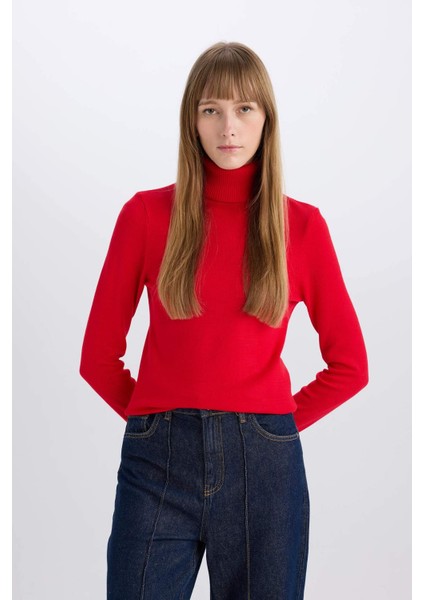 Regular Fit Yumuşak Dokulu Balıkçı Yaka Basic Düz Triko Kazak H1651AZ24WN