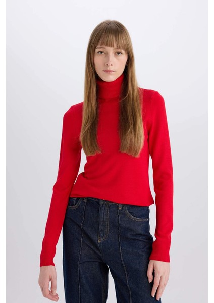 Regular Fit Yumuşak Dokulu Balıkçı Yaka Basic Düz Triko Kazak H1651AZ24WN