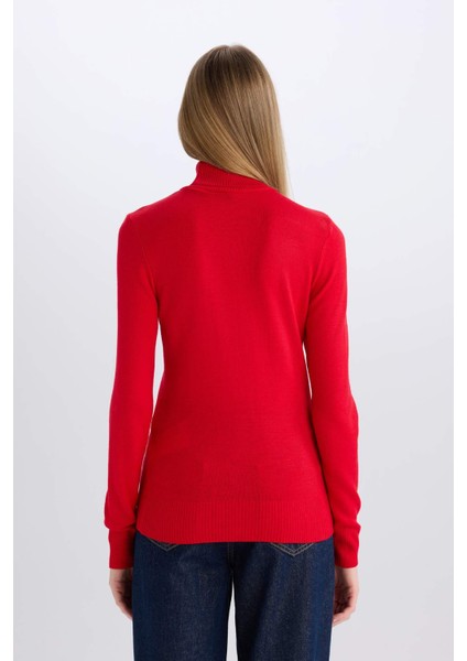 Regular Fit Yumuşak Dokulu Balıkçı Yaka Basic Düz Triko Kazak H1651AZ24WN