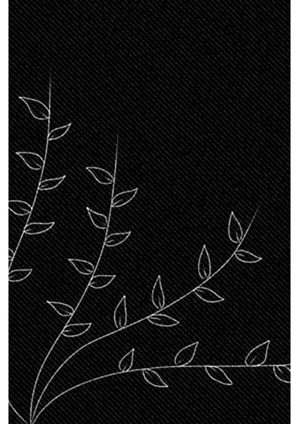 Schneider 5 Adet Gümüş Renk Deri Çizim Kalemi fırsatları