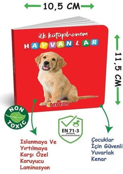 2090 Dıytoy, Ilk Kütüphanem-Ilk Sözcükler 8'li Mini Kitap Seti modelleri