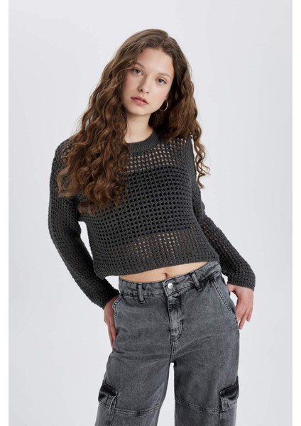 Regular Fit Bisiklet Yaka Kroşe Triko Kazak T4513AZ24SP