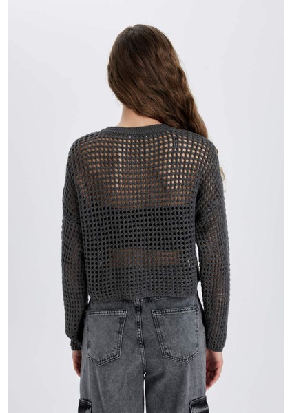 Regular Fit Bisiklet Yaka Kroşe Triko Kazak T4513AZ24SP