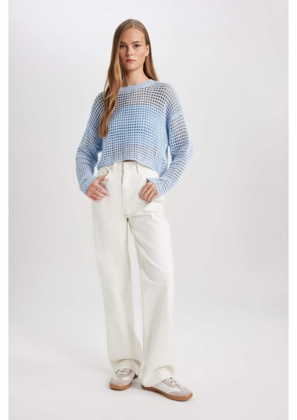 Regular Fit Bisiklet Yaka Kroşe Triko Kazak T4513AZ24SP