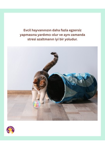 Renkli Kedi Oyuncak Isırmaya Dayanıklı Kedi Topu Kedi Oyuncak indirimleri