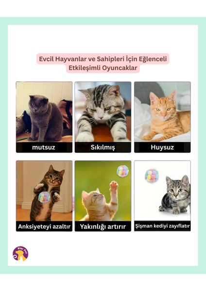 Renkli Kedi Oyuncak Isırmaya Dayanıklı Kedi Topu Kedi Oyuncak