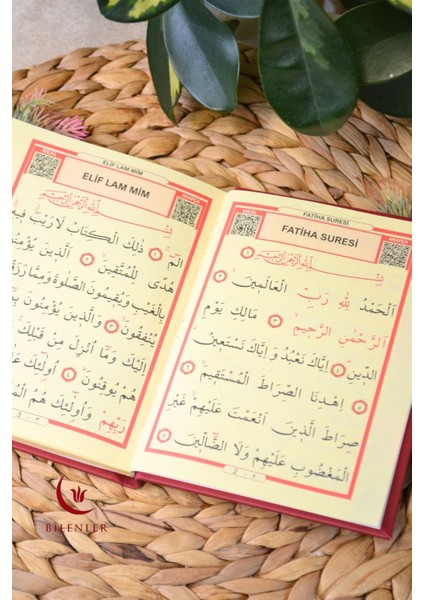 Yasin Kitabı Termoderi Kaplı-Arapça Türkçe Okunuşlu ve Mealli–mevlid ve Bebek Hediyeliğii (10 Adet) fırsatları