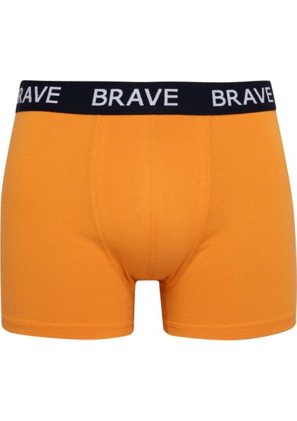 Regular Fit 3'lü Boxer B7968AX24SP