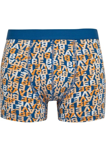 Regular Fit 3'lü Boxer B7968AX24SP