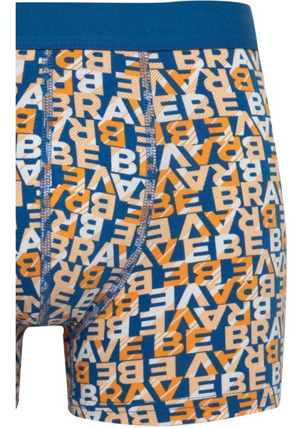 Regular Fit 3'lü Boxer B7968AX24SP