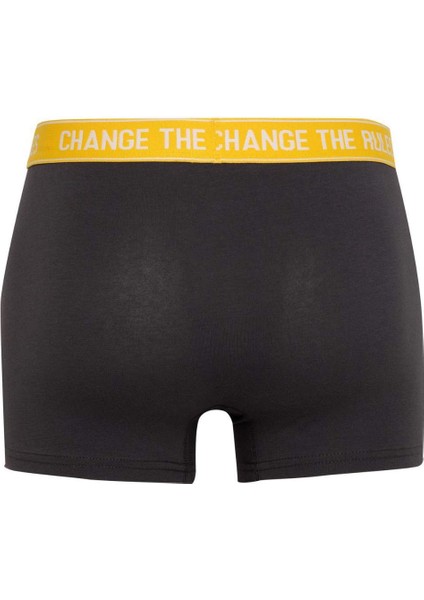 Regular Fit 3'lü Boxer B7955AX24SP