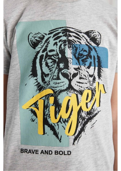 Erkek Çocuk Pijama Takımı Baskılı Kısa Kollu Üst Şort C2779A824SM