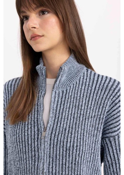 Regular Fit Dik Yaka Fermuarlı Triko Hırka C3696AX24SP