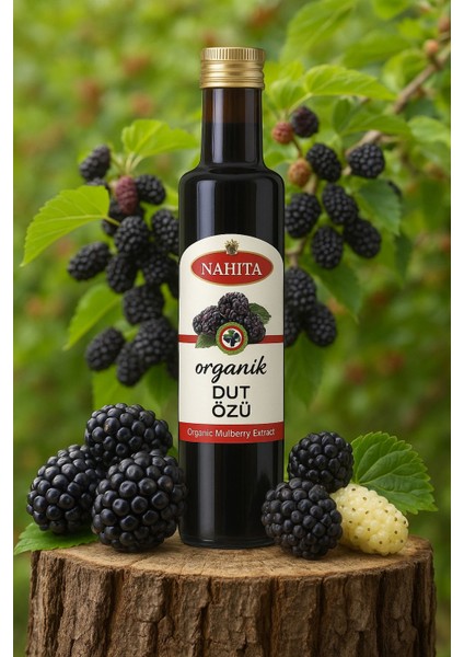 NAHİTA Katkısız Ekşi Karadut Özü 340 gr