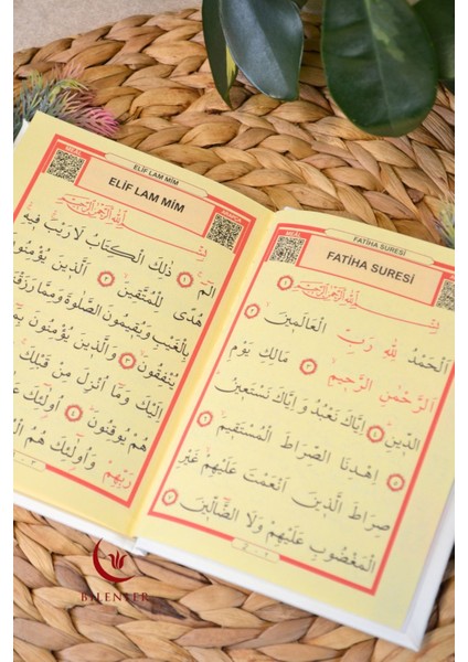 Yasin Tül Kese Termoderi Kaplı-Arapça Türkçe Okunuşlu ve Mealli–mevlid ve Bebek Hediyeliği (10 Adet)