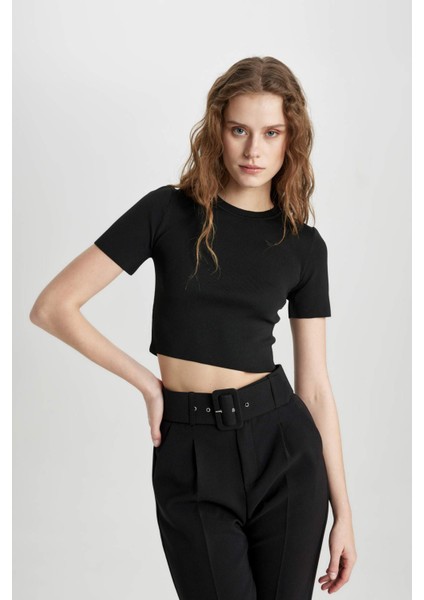 Fitted Bisiklet Yaka Kısa Kollu Triko Tişört C1898AX24SP