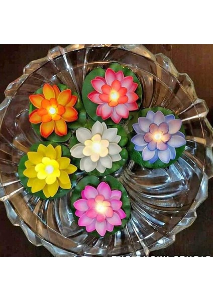 Suda Yüzen Eva Malzeme 6lı Su Niliferi Lotus Çiçeği Pilli Mum Hawaian fiyatları