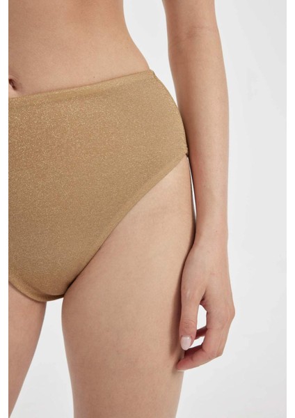 Regular Fit Parlak Kumaş Yüksek Bel Bikini Altı C3180AX24SM